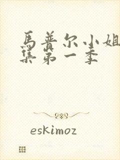 马普尔小姐探案集第一季封面