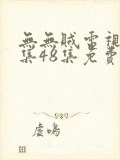 无无贼电视剧全集48集免费播放