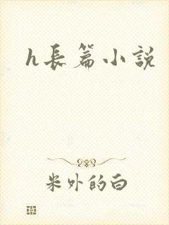 h长篇小说