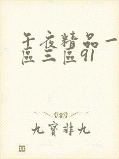 午夜精品一区二区三区91封面