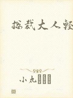 总裁大人轻一点封面