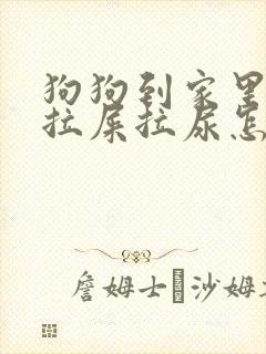 狗狗到家里随便拉屎拉尿怎么办