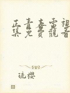 正青春电视剧全集免费观看完整版