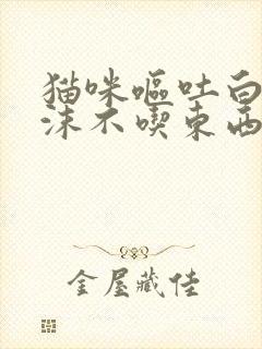 猫咪呕吐白色泡沫不吃东西精神不好