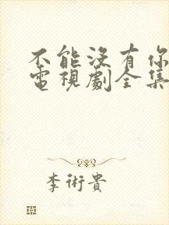 不能没有你韩剧电视剧全集免费播放