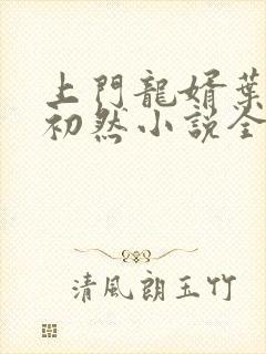 上门龙婿叶辰萧初然小说全集封面
