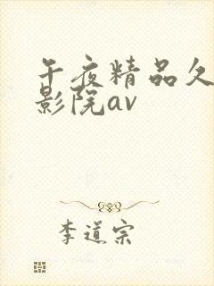 午夜精品久久久影院av