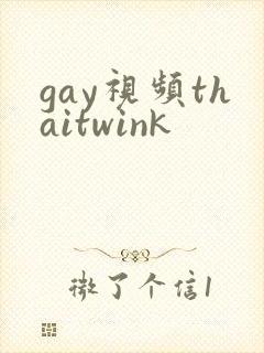 gay视频thaitwink