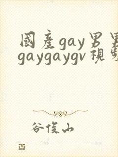 国产gay男男gaygaygv视频