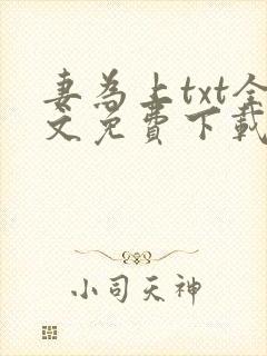 妻为上txt全文免费下载