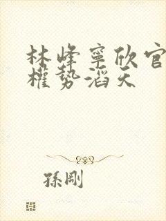 林峰宁欣官道之权势滔天