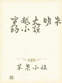 穿越大明朱高煦的小说