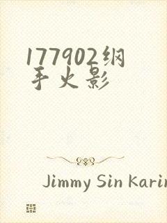 177902纲手火影