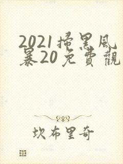 2021扫黑风暴20免费观看国语版