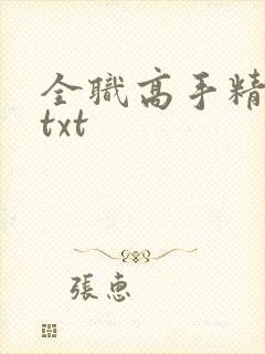 全职高手精校版txt