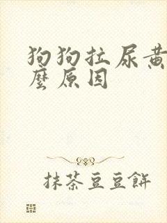 狗狗拉尿黄是什么原因