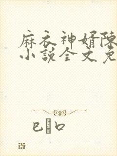 麻衣神婿陈黄皮小说全文免费阅读封面