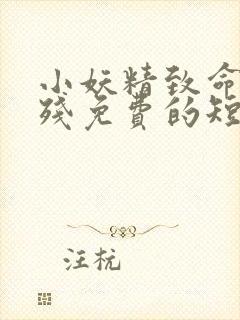 小妖精致命又凶残免费的短剧在线观看完整版