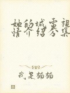 她的城电视剧剧情介绍分集封面