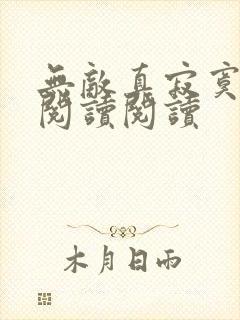 无敌真寂寞全文阅读阅读