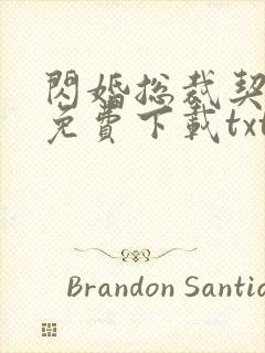 闪婚总裁契约妻免费下载txt封面