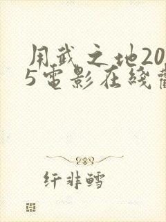 用武之地2025电影在线观看免费观看封面