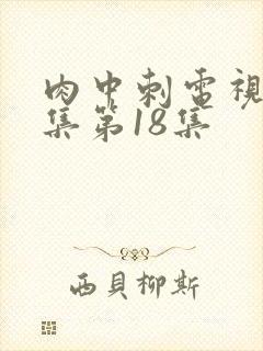 肉中刺电视剧全集第18集