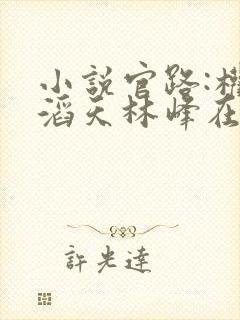 小说官路:权势滔天林峰在线阅读