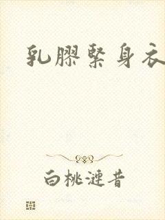 乳胶紧身衣小说封面