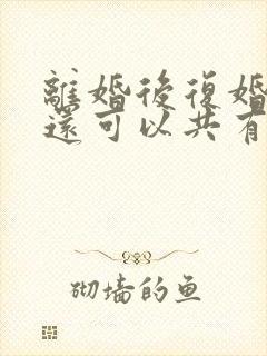 离婚后复婚财产还可以共有么