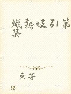 炽热吸引第29集封面