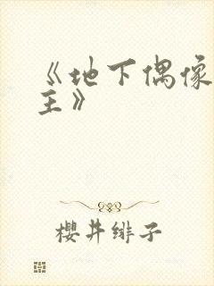 《地下偶像双男主》