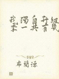 我独自升级第二季一共有几集封面