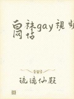白袜gay视频网站