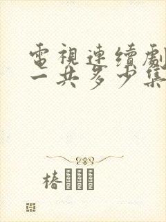 电视连续剧冬至一共多少集封面