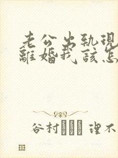 老公出轨现在要离婚我该怎么做封面