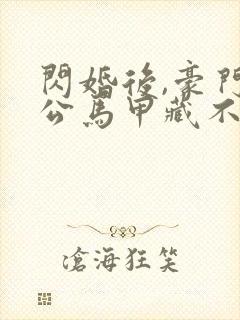 闪婚后,豪门老公马甲藏不住第三部