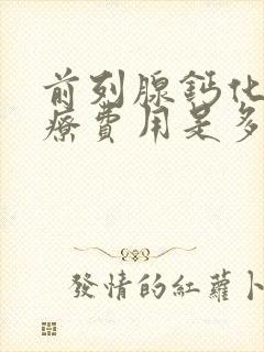 前列腺钙化斑治疗费用是多少