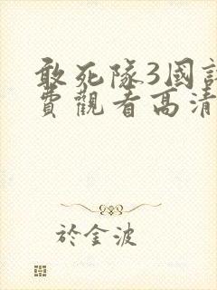 敢死队3国语免费观看高清完整版