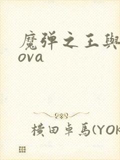 魔弹之王与战姬ova