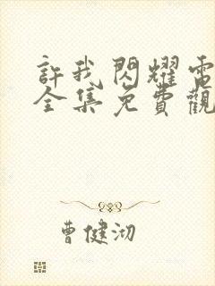 许我闪耀电视剧全集免费观看