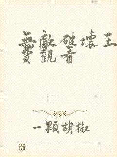 无敌破坏王2免费观看