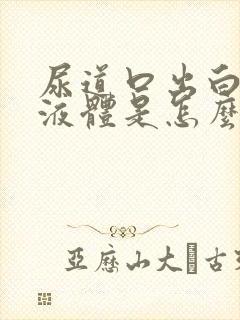 尿道口出白色的液体是怎么了