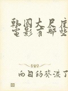 韩国大尺度床戏电影有哪些封面