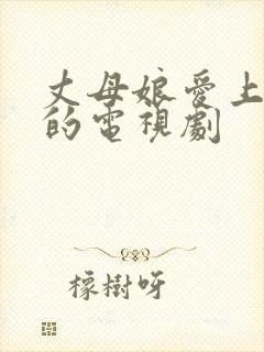 丈母娘爱上女婿的电视剧封面