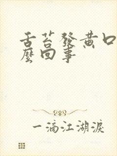 舌苔发黄口苦怎么回事