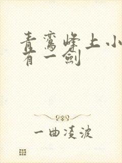 青鸾峰上小说我有一剑封面