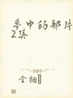 梦中的那片海32集