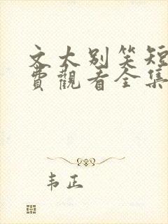 文太别笑短剧免费观看全集高清版封面