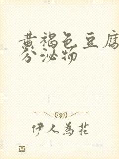 黄褐色豆腐渣状分泌物